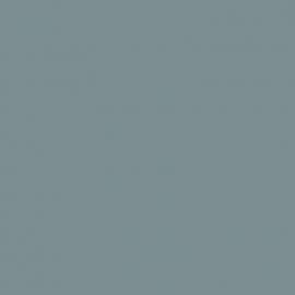 Μπλε Χρώμα αυτοκινήτου RNY-RENAULT