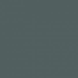 Γκρι Χρώμα αυτοκινήτου S14-DAIHATSU