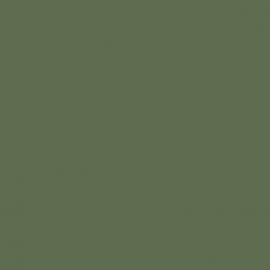 Πράσινο Χρώμα αυτοκινήτου S6N:93-SEAT