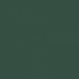 Πράσινο Χρώμα αυτοκινήτου S6W-SEAT