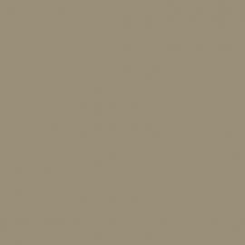 Γκρι Χρώμα αυτοκινήτου SFPEWHA-FORD