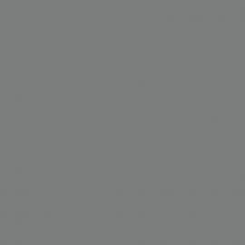 Γκρι Χρώμα αυτοκινήτου SMA662-SMART