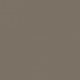 Μπεζ Χρώμα αυτοκινήτου T06-TOYOTA