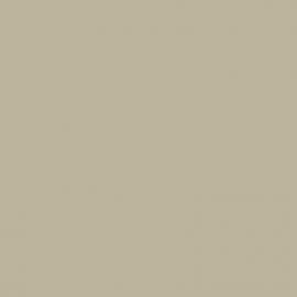 Μπεζ Χρώμα αυτοκινήτου T11-DAIHATSU