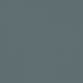 Γκρι Χρώμα αυτοκινήτου T12-MITSUBISHI