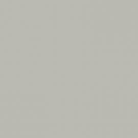 Γκρι Χρώμα αυτοκινήτου W17-MITSUBISHI