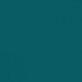 Μπλε Χρώμα αυτοκινήτου W5N-SEAT