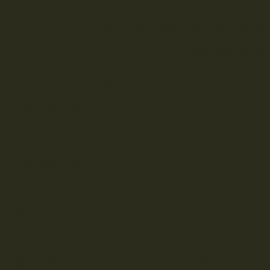 Πράσινο Χρώμα αυτοκινήτου W6X-SEAT