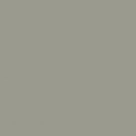 Γκρι Χρώμα αυτοκινήτου WX07-BMW