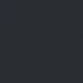 Γκρι Χρώμα αυτοκινήτου WXC-RENAULT