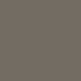 Γκρι Χρώμα αυτοκινήτου X1A-BMW