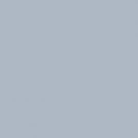 Γκρι Χρώμα αυτοκινήτου X7W-SEAT