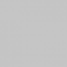 Γκρι Χρώμα αυτοκινήτου XSC1056-FORD