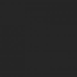 Μαύρο Χρώμα αυτοκινήτου XSC2409CM-FORD