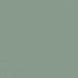 Πράσινο Χρώμα αυτοκινήτου Y6N-AUDI