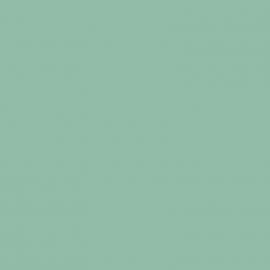 Πράσινο Χρώμα αυτοκινήτου Y6S-AUDI