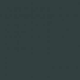 Πράσινο Χρώμα αυτοκινήτου Y6Y-AUDI