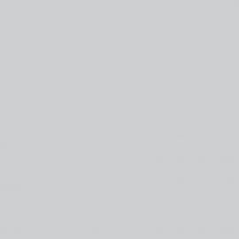 Γκρι Χρώμα αυτοκινήτου Y7W-AUDI