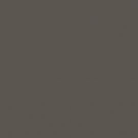 Γκρι Χρώμα αυτοκινήτου ZCD-SUZUKI