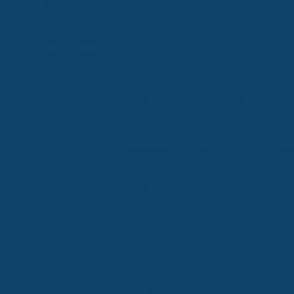 Μπλε Χρώμα αυτοκινήτου ZF2-SUZUKI