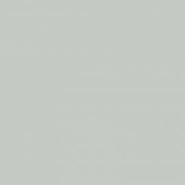 Λευκό Χρώμα αυτοκινήτου ZHJ-SUZUKI