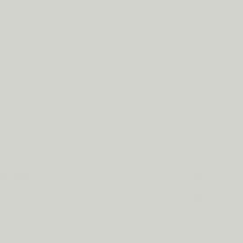 Γκρι Χρώμα αυτοκινήτου ZJNCWWA-FORD