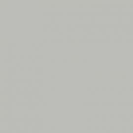 Γκρι Χρώμα αυτοκινήτου ZJPCWWA-FORD