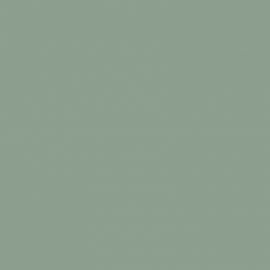 Πράσινο Χρώμα αυτοκινήτου ZKZ-SUZUKI