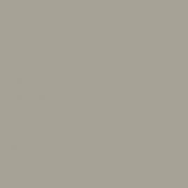 Γκρι Χρώμα αυτοκινήτου ZTS-SUZUKI