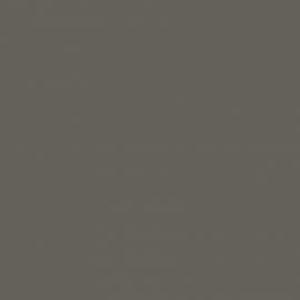 Γκρι Χρώμα αυτοκινήτου ZU1-SUZUKI