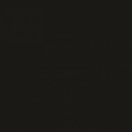 Γκρι Χρώμα αυτοκινήτου ZUR-SUZUKI