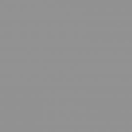 Γκρι Χρώμα αυτοκινήτου ZVC-SUZUKI