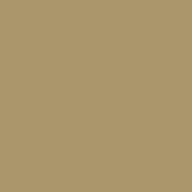 Μπεζ Χρώμα αυτοκινήτου ZWE-SUZUKI